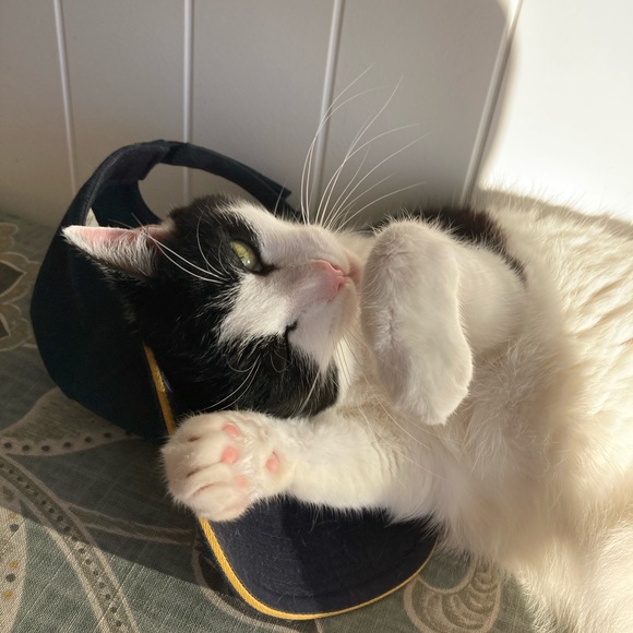 Striped brandy Melville cropped t shirt - Picture 2 of 2